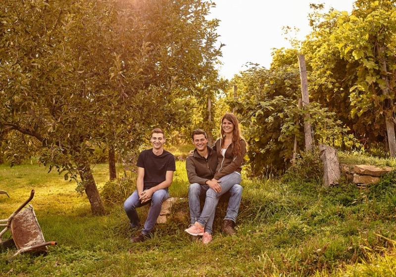 Weinerlebnis im Burgenland