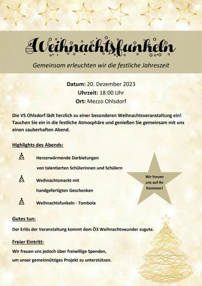 Weihnachtsfunkeln - Weihnachtsveranstaltung um Spenden zu sammeln