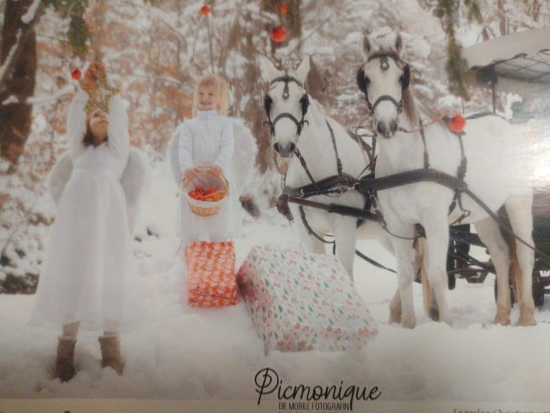 Kalenderverkauf vom weihnachtspony sindi und ihren Engerl