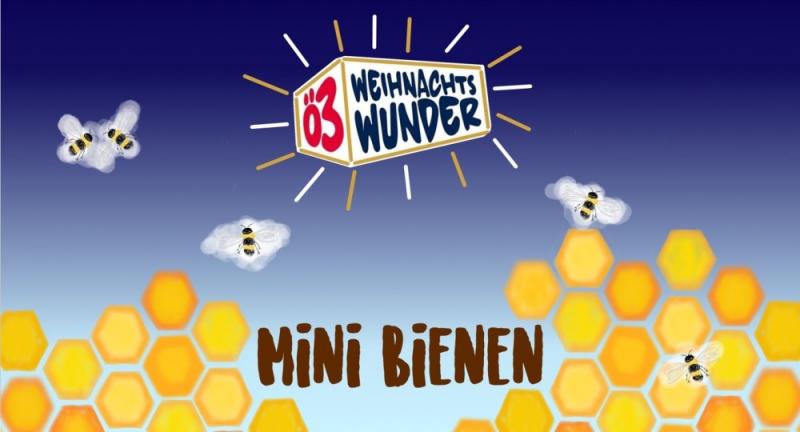 Ö3-Bienenwunder #24