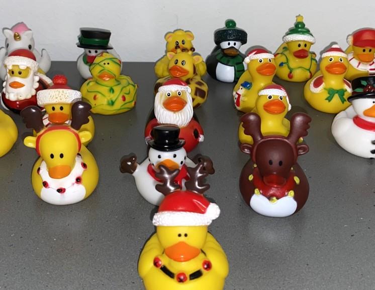 Enten rennen, Spenden fließen