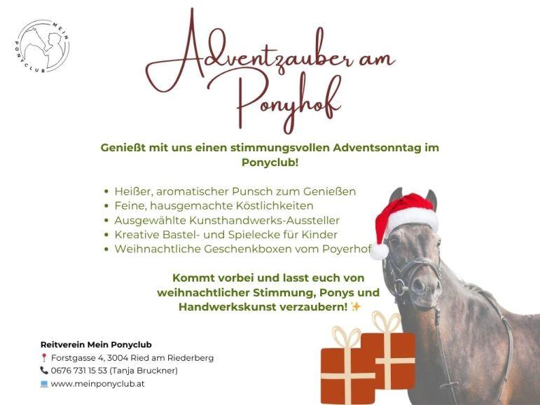 Adventzauber am Ponyhof
