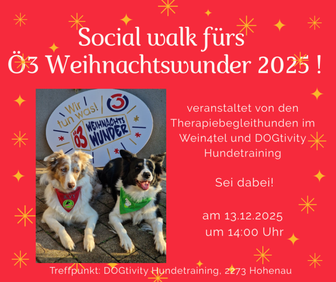 Social walk fürs Ö3 Weihnachtswunder 2025